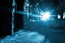 8f8775_cae79a437d58445a8a2fc0996d90585a~mv2