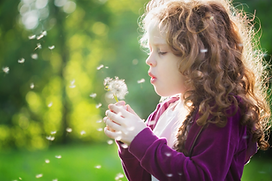 f0f7e2_87a633573b3b492eb830d8bb556011d6~mv2